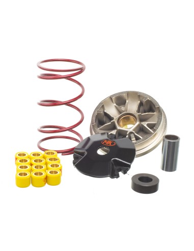 VARIADOR MOTOR PIAGGIO
