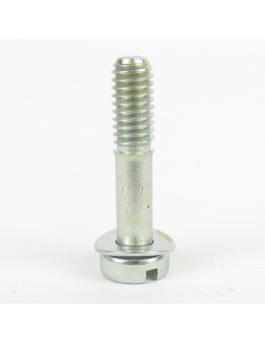 Float bowl screw
