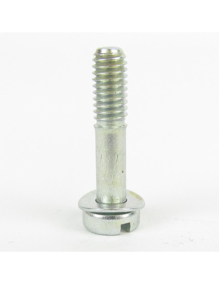 Float bowl screw