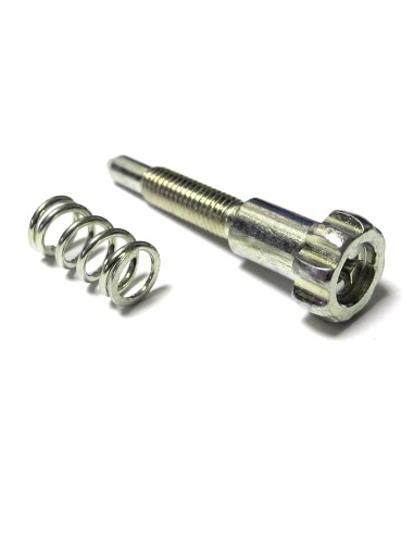 Kit de tornillo y muelle de ralentí
