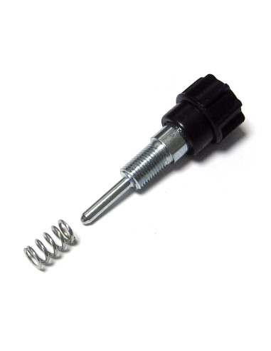 Kit tornillo ralenti