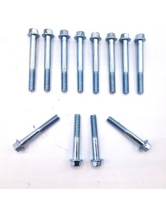 Kit Tornilleria Carter METRAKIT (OEM DERBI)