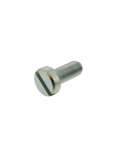 Fuel filter cover screw