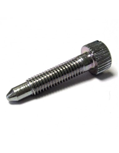 Throttle stop screw